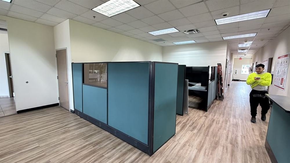 Open plan office with workstations, new flooring and ceiling