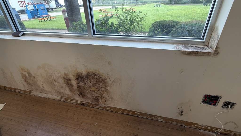 Water and mold damage on interior wall before repair